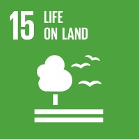 goals 15 sostenibilità