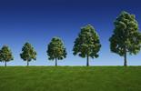 green-growth-sustainability-tree