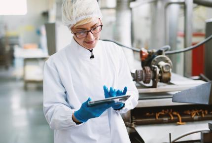 food safety control auditor