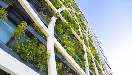 edificio-green-sostenibilita-construction-building